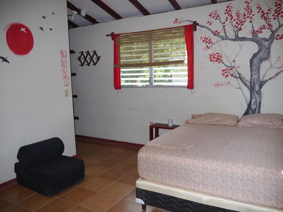 Free Spirit Hostel Transito Extérieur photo