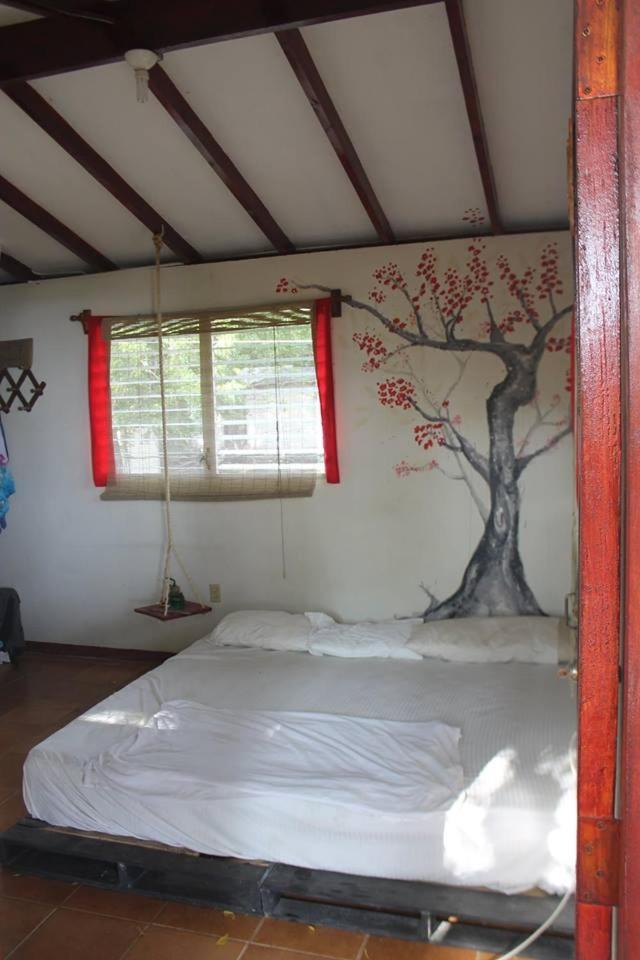 Free Spirit Hostel Transito Extérieur photo